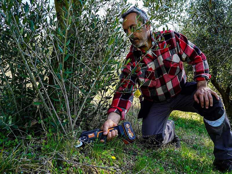 Worx NITRO WG330E 20V Battery-powered Pruning Shears - 25 mm cutting - 20V/2Ah Battery