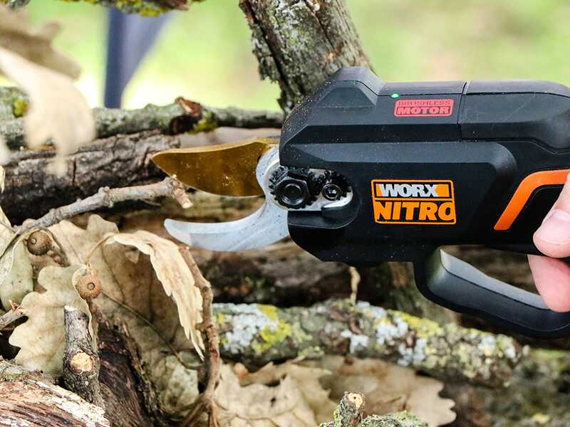 Worx pruning shears hotsell