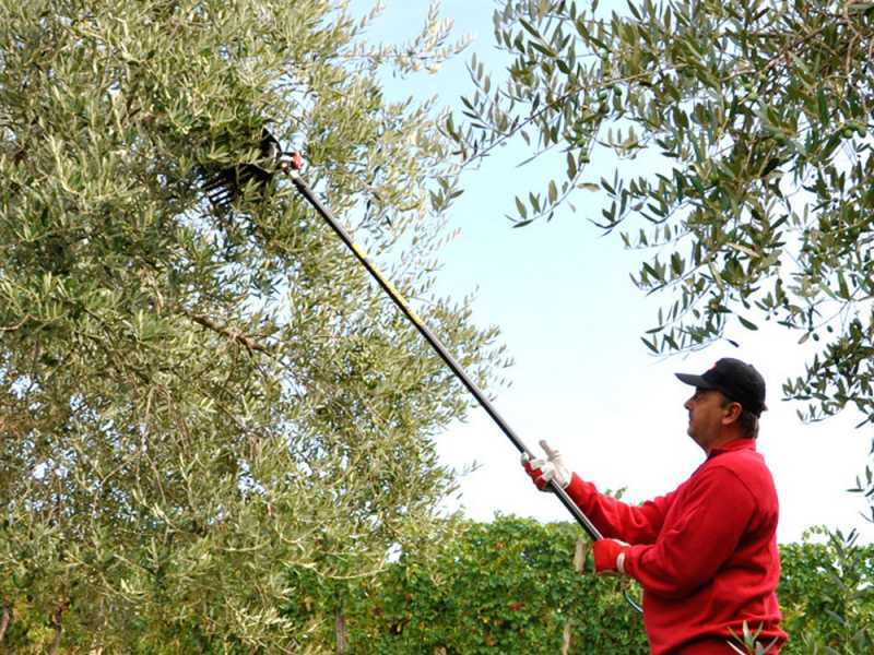 Lisam MG Magnesium - Pneumatic Olive Harvester - 6 Bar Olive Shaker - 1700 Beats per Minute