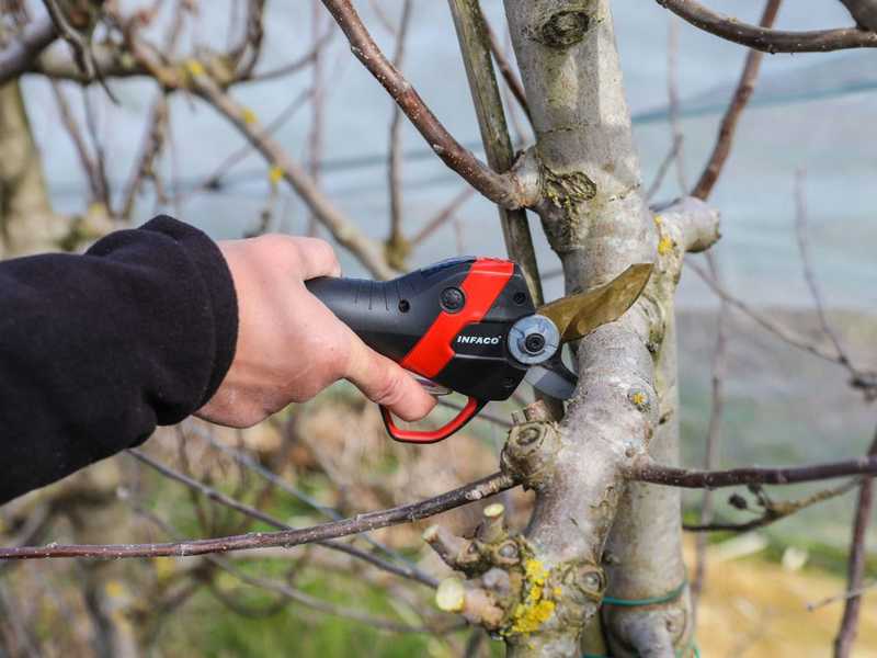 Infaco F3020 Electric Pruning Shears on fixed carbon pole 227 cm - &Oslash; 40 mm standard Kit - battery and backpack included