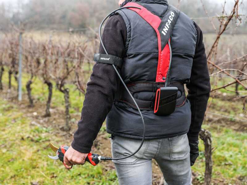Infaco F3020 Electric Pruning Shears on fixed carbon pole 227 cm - &Oslash; 40 mm standard Kit - battery and backpack included