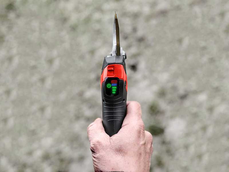 Infaco F3020 Electric Pruning Shears on fixed carbon pole 227 cm - &Oslash; 40 mm standard Kit - battery and backpack included