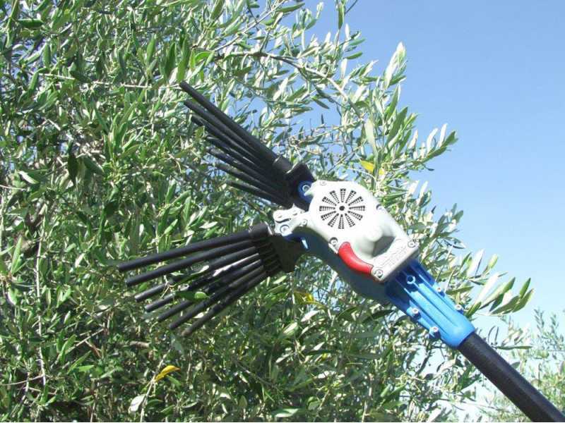 Electric Battery-powered Olive Harvester Lisam OLIWATT 2 - With 8 carbon prongs - Fixed Pole