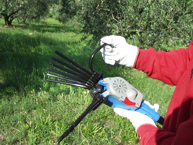 Electric Battery-powered Olive Harvester Lisam OLIWATT 2 - With 8 carbon prongs - Fixed Pole