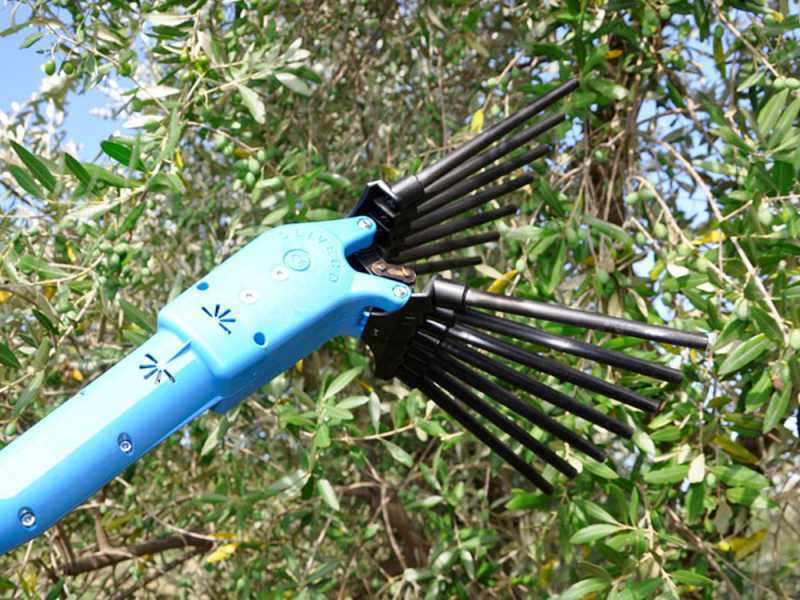 Lisam Oliveco - Electric Battery-powered Olive Harvester - With Nylon Prongs - Telescopic Pole