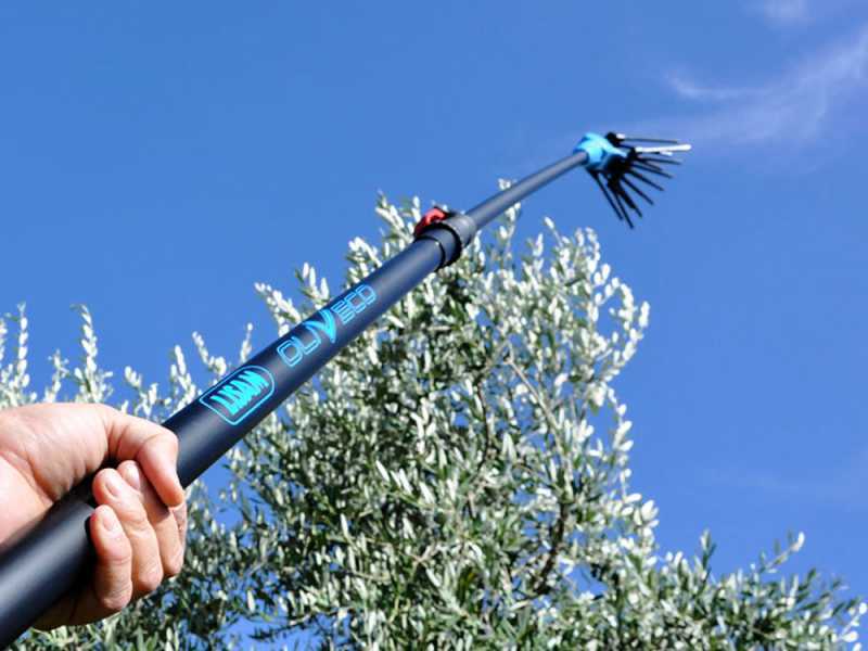 Lisam Oliveco - Electric Battery-powered Olive Harvester - With Nylon Prongs - Telescopic Pole