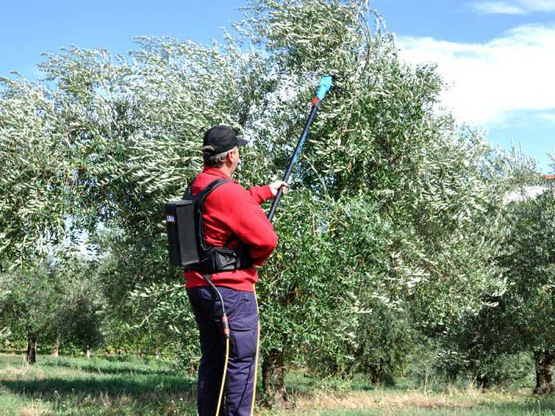 Lisam Oliveco - Electric Battery-powered Olive Harvester - With Nylon Prongs - Telescopic Pole
