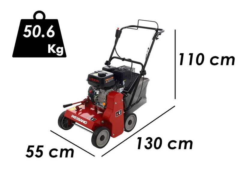 Weibang WB384RC - Professional Lawn Scarifier with Moving Blades - Loncin G200F engine