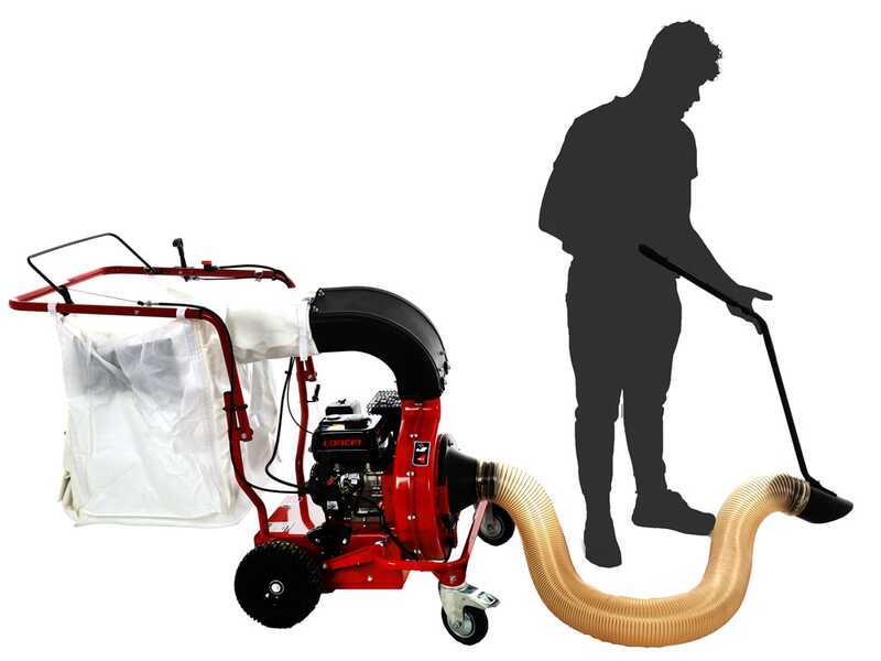 Weibang WBLV506C Petrol Walk Behind Leaf Vacuum , best deal on AgriEuro