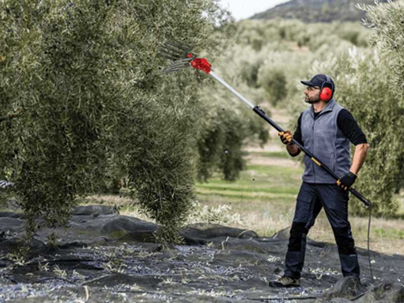 Zanon Olivar Electric AL 300 Battery-powered Electric Olive Harvester - Telescopic Aluminium Pole 210 - 340 cm