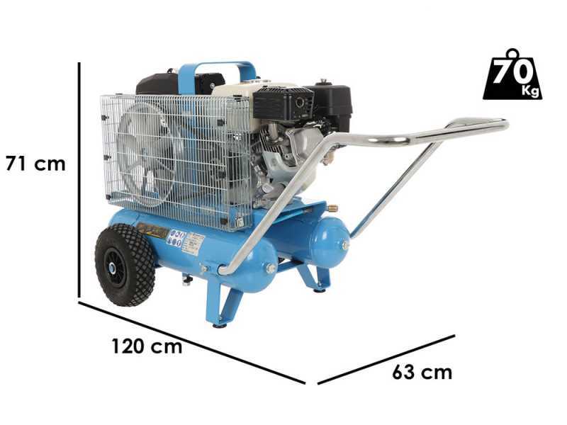 Campagnola MC 545 Petrol Engine-driven Air Compressor Honda GP160 KIT + 2 Tuono Evo Pneumatic Olive Harvesters + Victory Pneumatic Pruning Shears