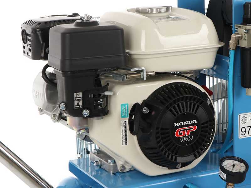 Campagnola MC 545 Petrol Engine-driven Air Compressor Honda GP160 KIT + 2 Tuono Evo Pneumatic Olive Harvesters + Victory Pneumatic Pruning Shears