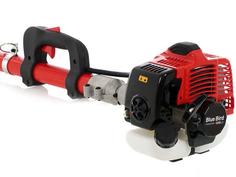 BlueBird PTT261 2-stroke Telescopic Pruner