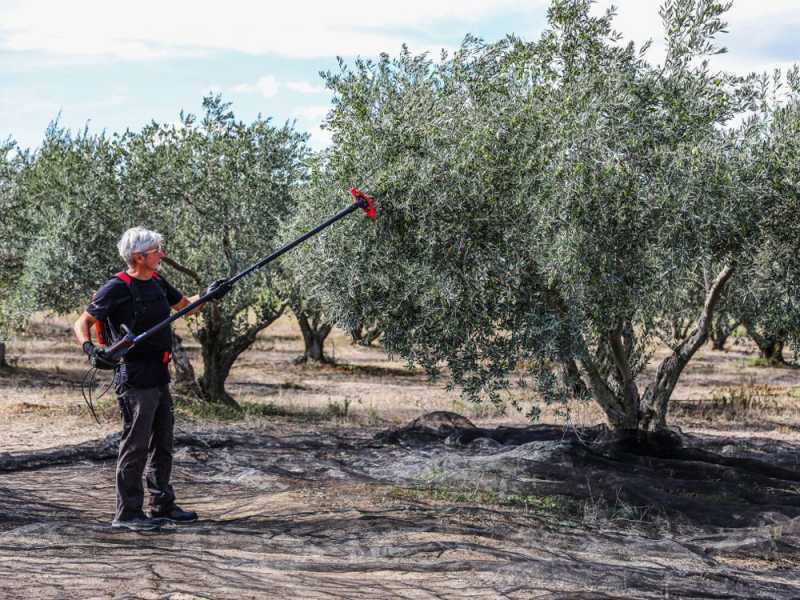 Infaco V5000P3AF - Battery-powered Olive Harvester on Fixed Pole - 48 V 17Ah