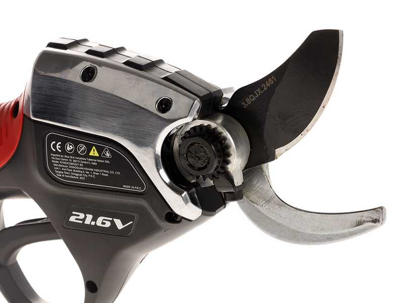 BlueBird PS 22-38 Electric Battery-operated Pruning Shears on extension pole - 21.6V - 2.5Ah