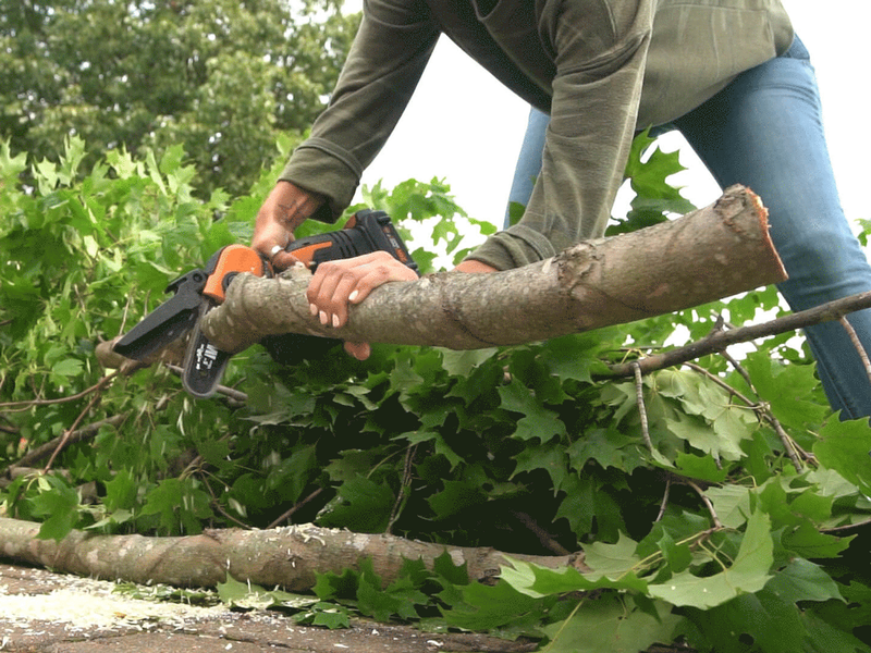 Worx best sale pruning shears