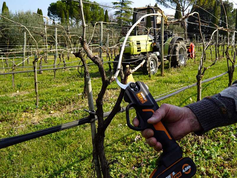 Worx garden shears top