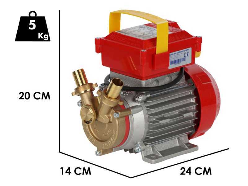 Rover 20 By-Pass - Bronze Electric Transfer Pump