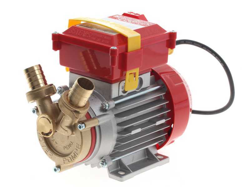 Rover 25 Electric Transfer Pump with By-Pass - 0.8 hp Single-phase Motor