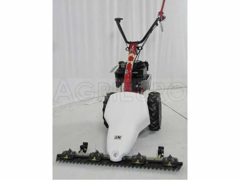 Eurosystems M210 - Twin-blade mower - B&amp;S 625 - B&amp;S 625