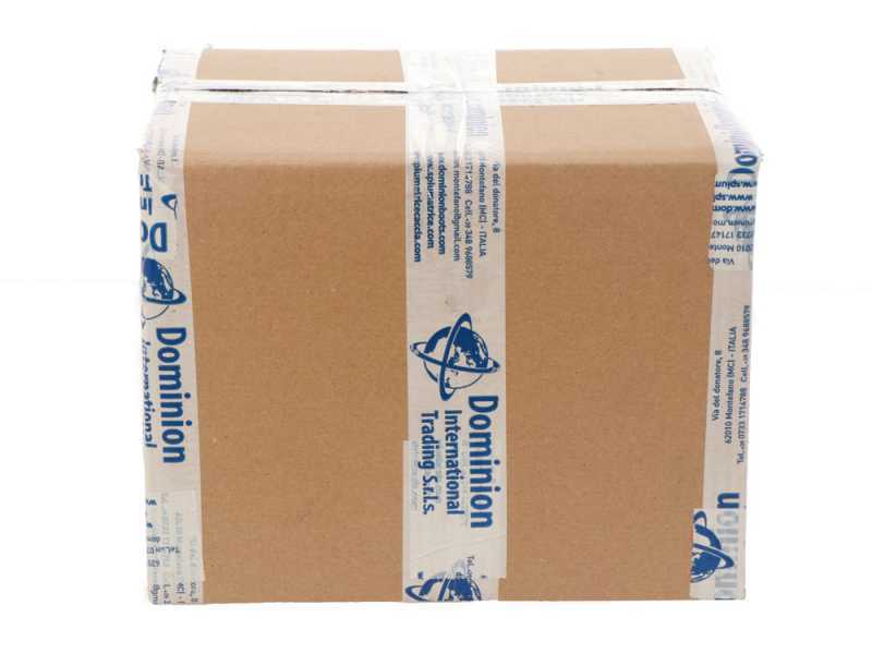 Dominion DIT CNM - Medium Bleeding Cone