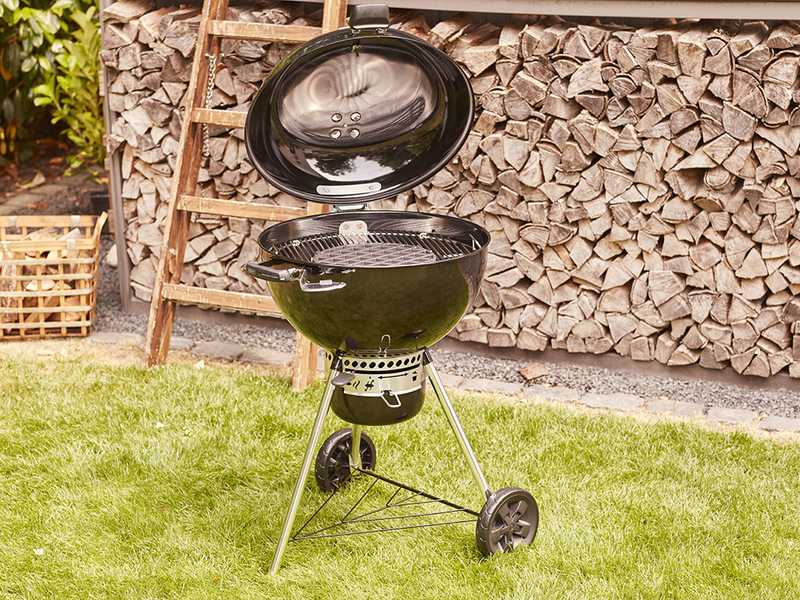 Weber 5775 store