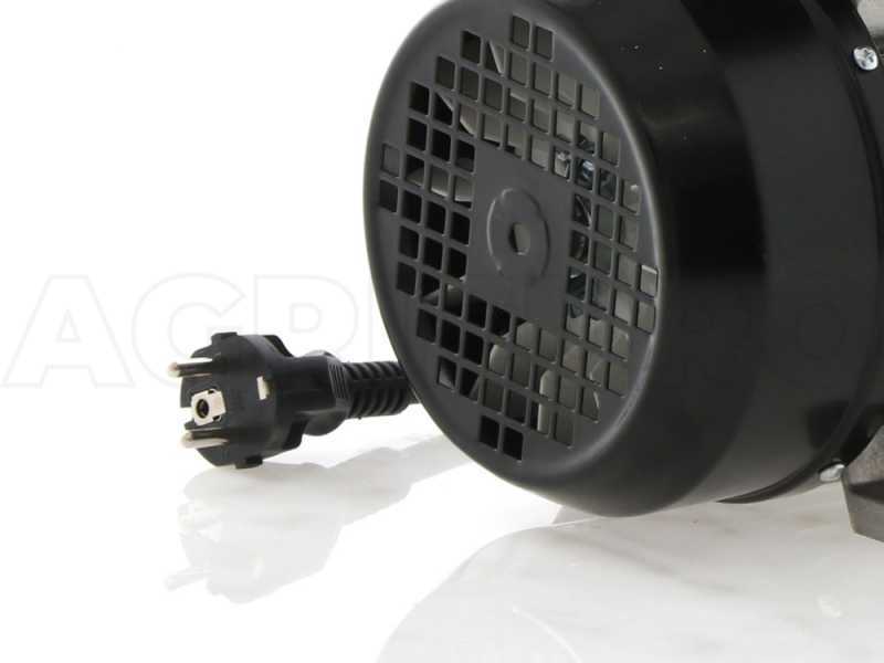 Electric Wheeled Spraying Motor Pump - Dal Degan DL218 - 20 Bar Max - 18L/min