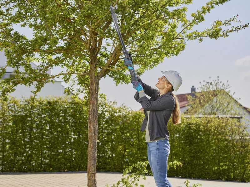 Extension pole tree deals trimmer