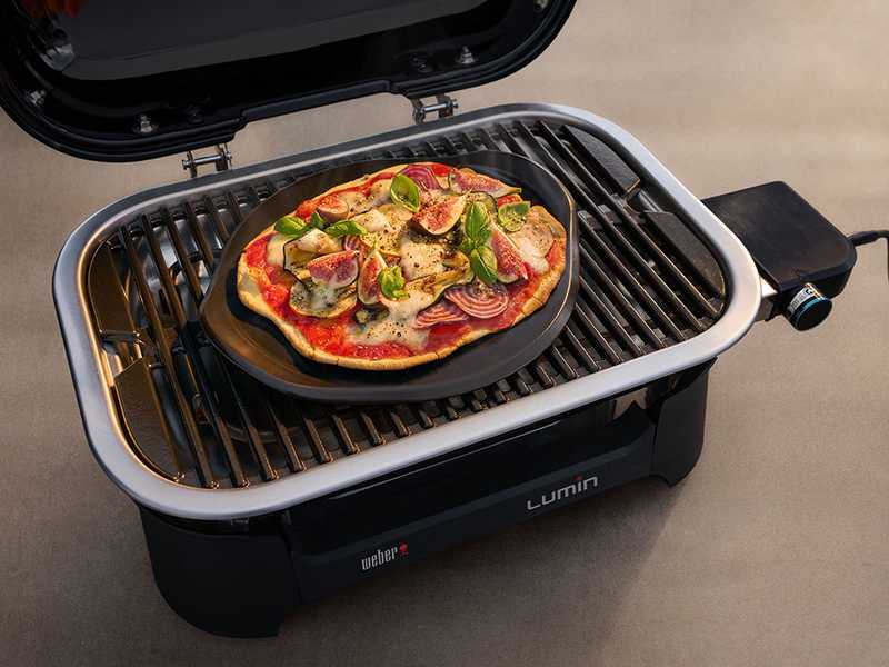 Weber Lumin Black Electric Barbecue best deal on AgriEuro
