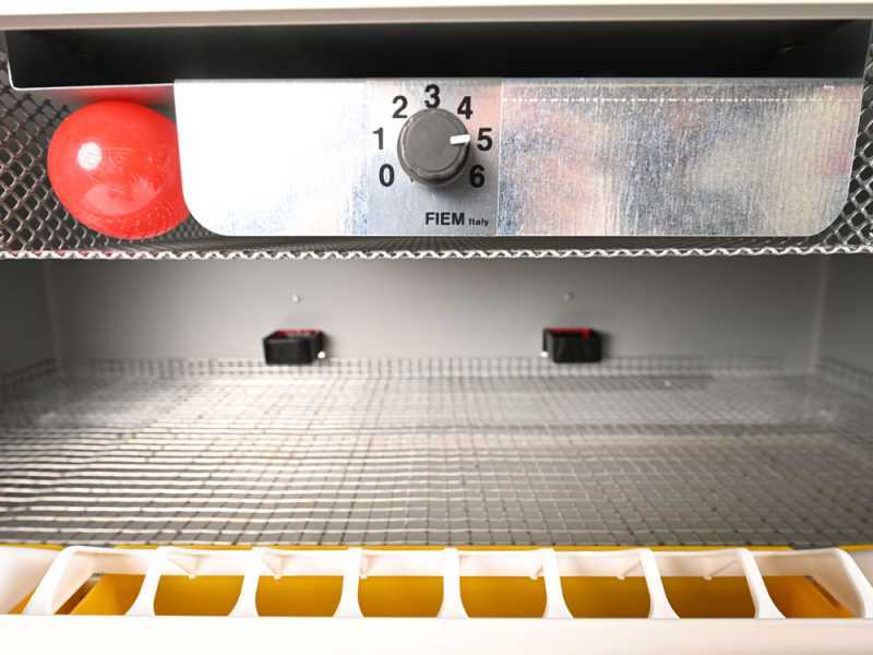 FIEM SV70 Artificial Chick Breeder