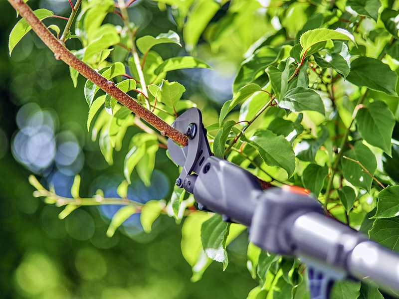 GARDENA HighCut 250 18V Battery Powered Pruning Shears best deal on AgriEuro
