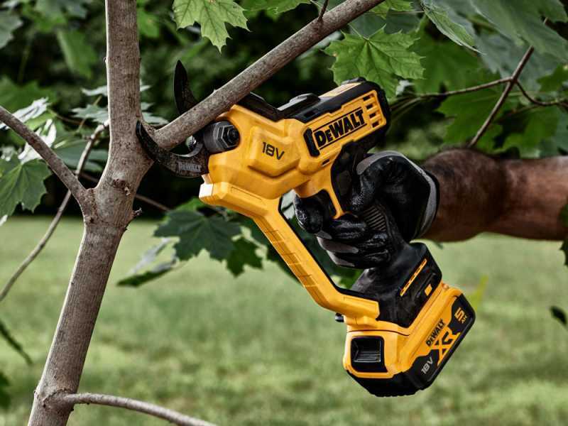 Dewalt online pruning saw