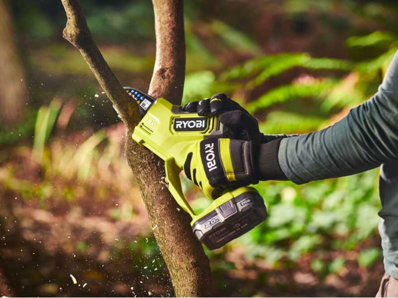 Ryobi pruning saw new arrivals