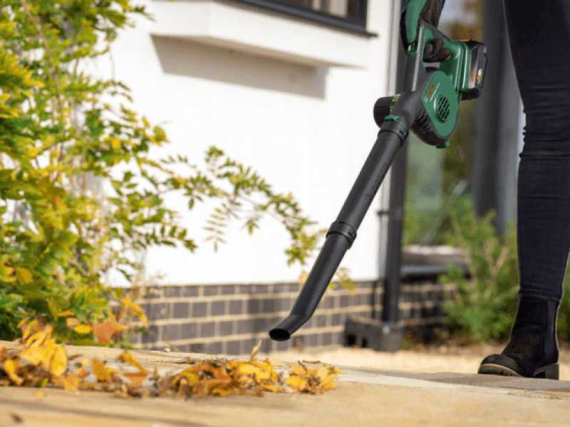Small leaf blower battery operated deals