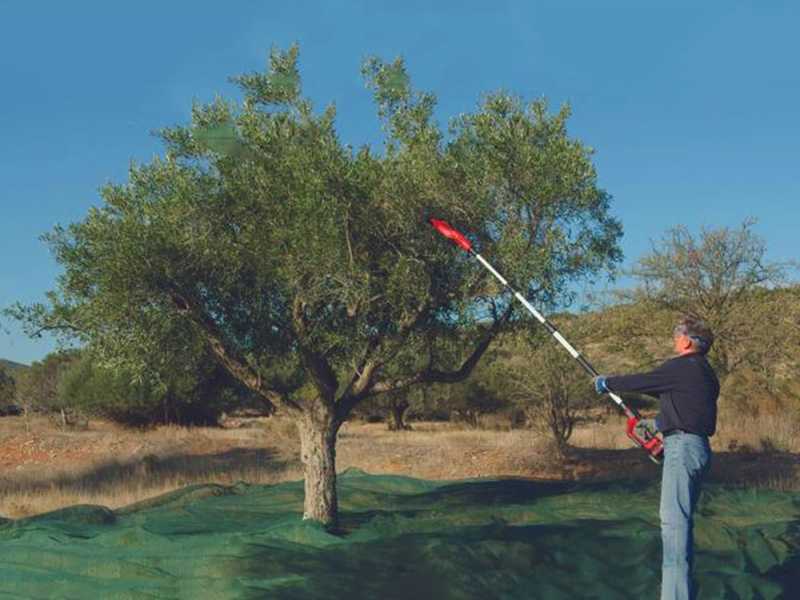 Einhell GE-FS 18/53 - Battery-powered Olive Harvester - Telescopic Pole - 18 V 4 Ah