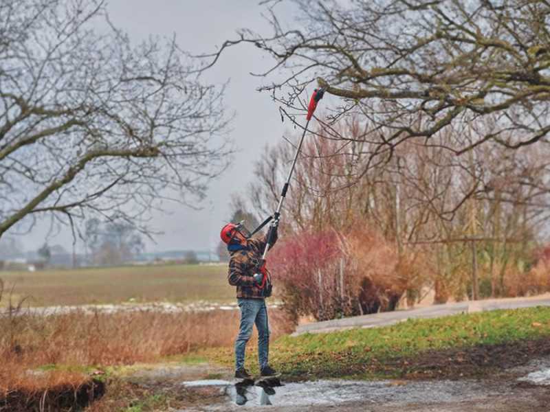 Einhell GC-CE 7520 T Electric Pruner with  Telescopic Pole