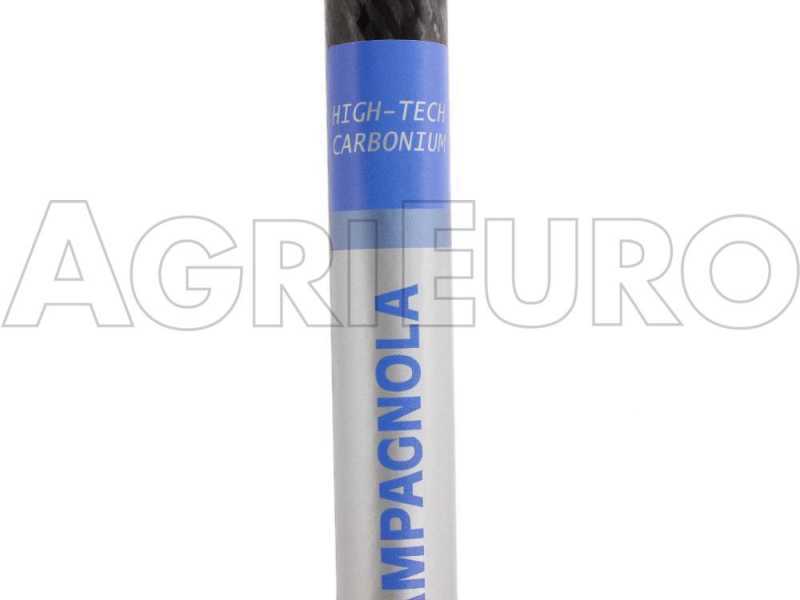Campagnola Icarus V1 58 - 200 cm Fixed Carbon Pole - Electric Olive Harvester