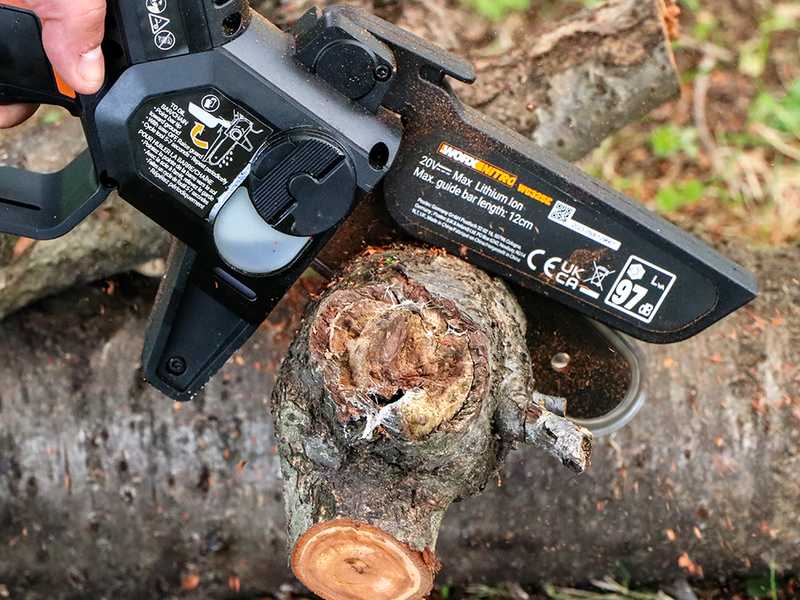 Worx Nitro WG325E - Battery-powered manual pruner - 20V/2Ah