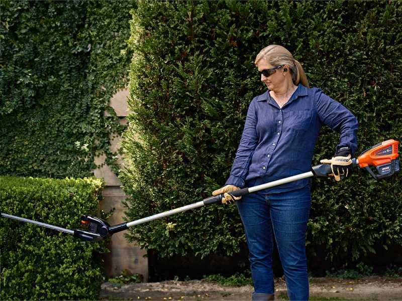 Echo extension hedge trimmer cheap