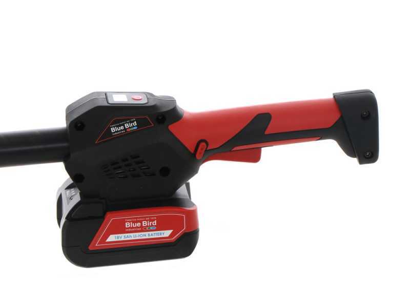 Blue Bird PCS 22-10 - Battery-powered Pruner on Telescopic Pole - 2 x 21V - 5Ah