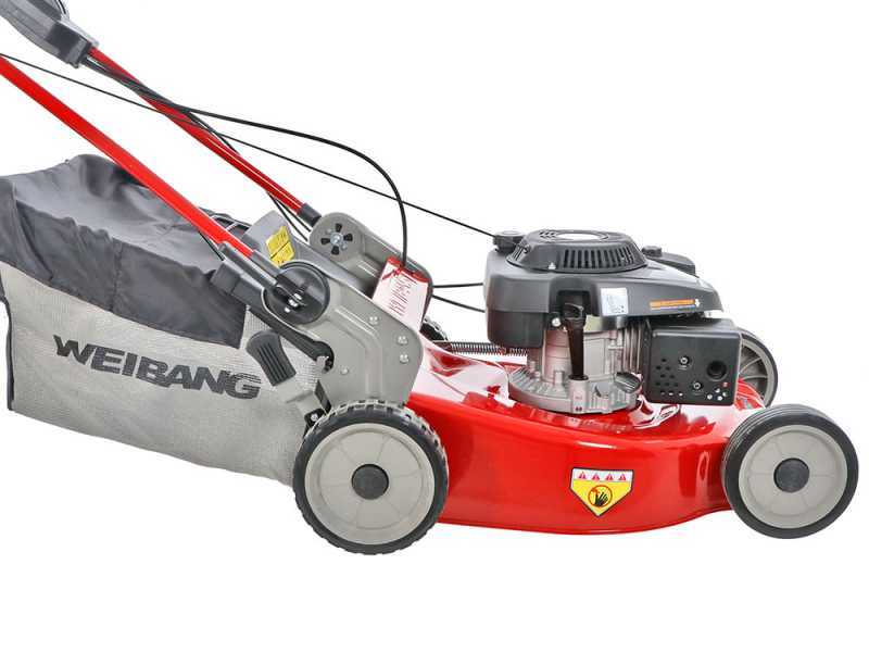 WEIBANG WB537SC Traction Petrol Lawn Mower best deal on AgriEuro