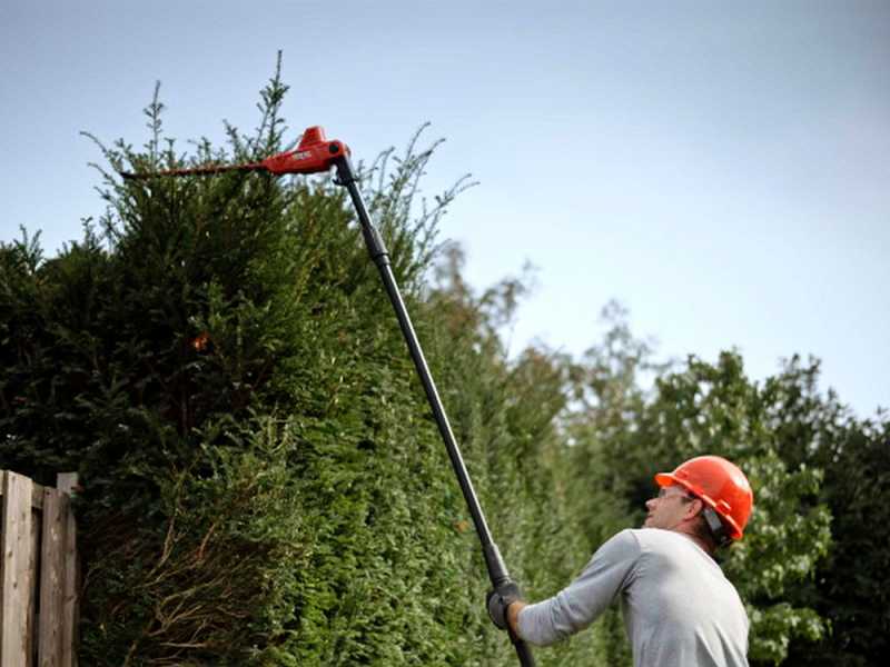 Skil 0640 CA - Battery-powered hedge trimmer on extension pole - BATTERY AND BATTERY CHARGER NOT INCLUDED