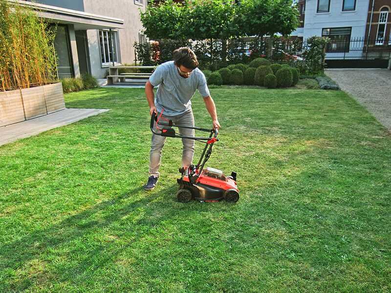 Best hand lawn mower new arrivals