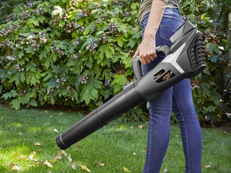 Alpina AB 20 Li Kit - Battery-powered Leaf Blower - with 20V/4Ah
