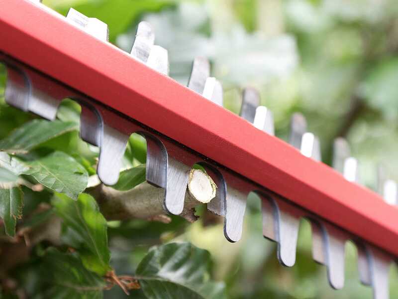 Skil 0429 CA - Battery-powered Hedge Trimmer - 50 cm blade - 20v/2.5ah