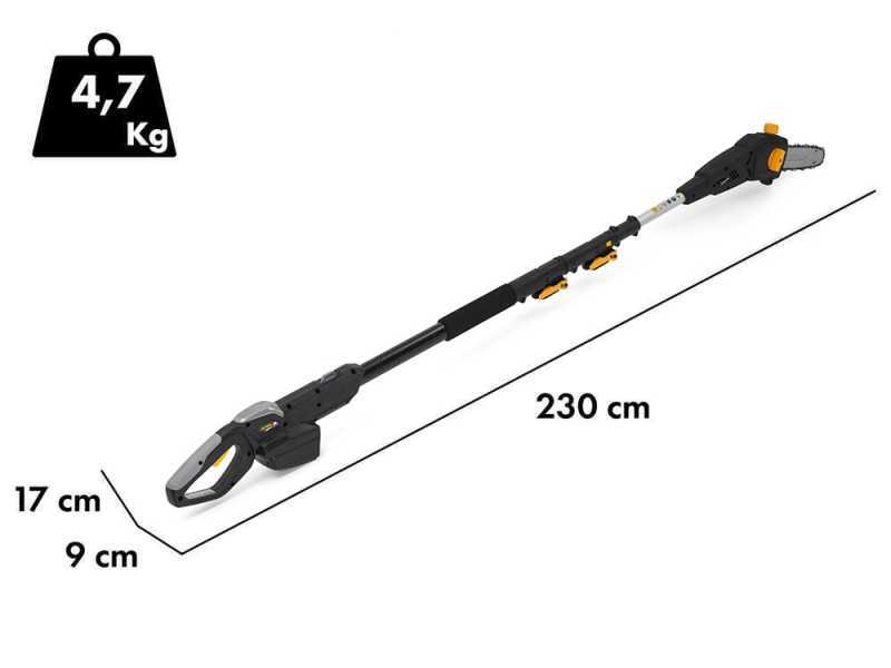 Alpina AM 20 Li Kit - Pruner/Hedge Trimmer on Telescopic Pole - 20 V 4Ah