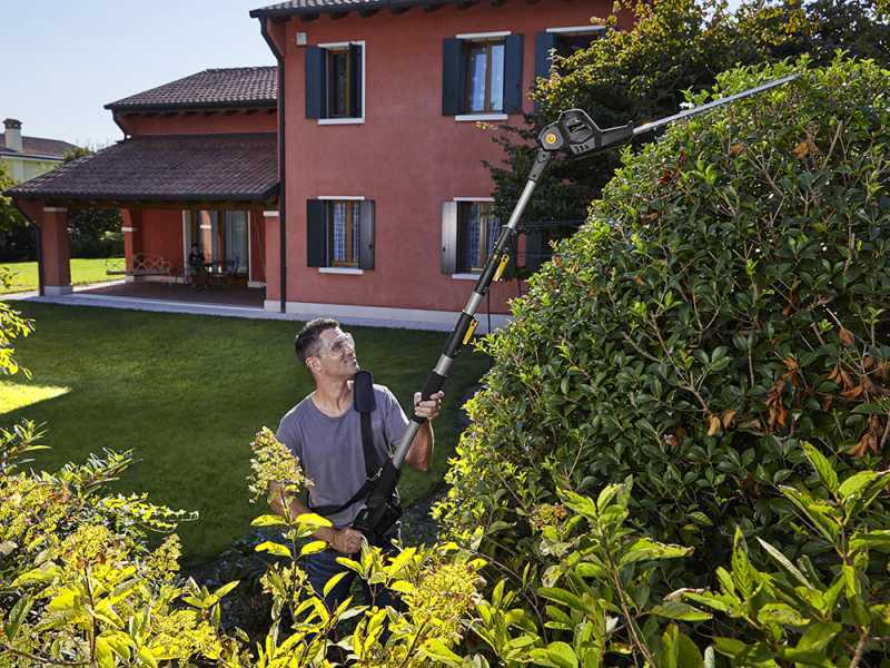 Alpina AM 20 Li Kit - Pruner/Hedge Trimmer on Telescopic Pole - 20 V 4Ah