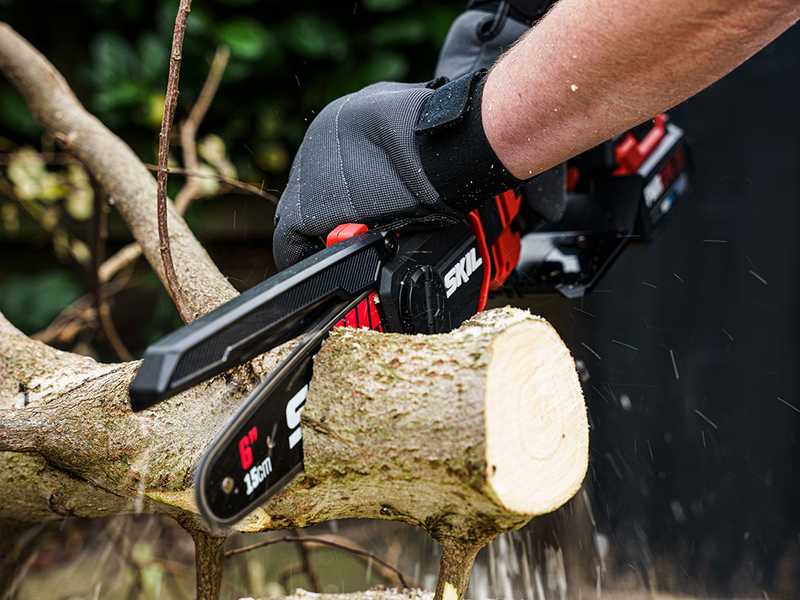 Skil 0512CA 20V Battery powered Manual Pruner best deal on AgriEuro