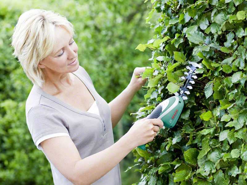Bosch ISIO3 Hedge Trimmer Shears best deal on AgriEuro