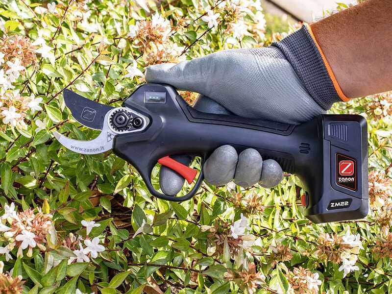 Lithium pruning shears discount